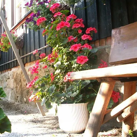 Ferienhaus Forellengrund Apartment Wernigerode